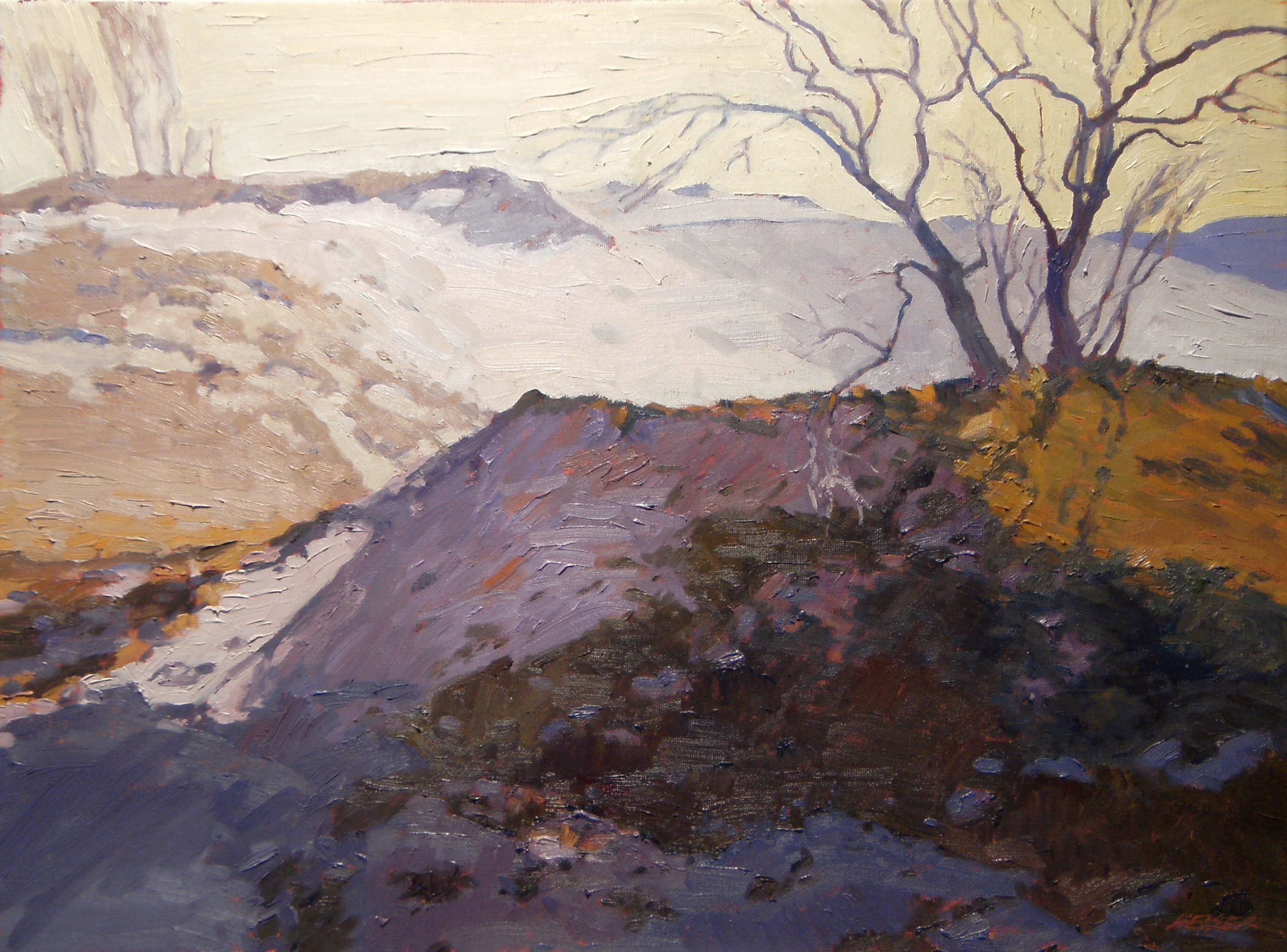 Backlit Shadows, 18 x 24 - Sold