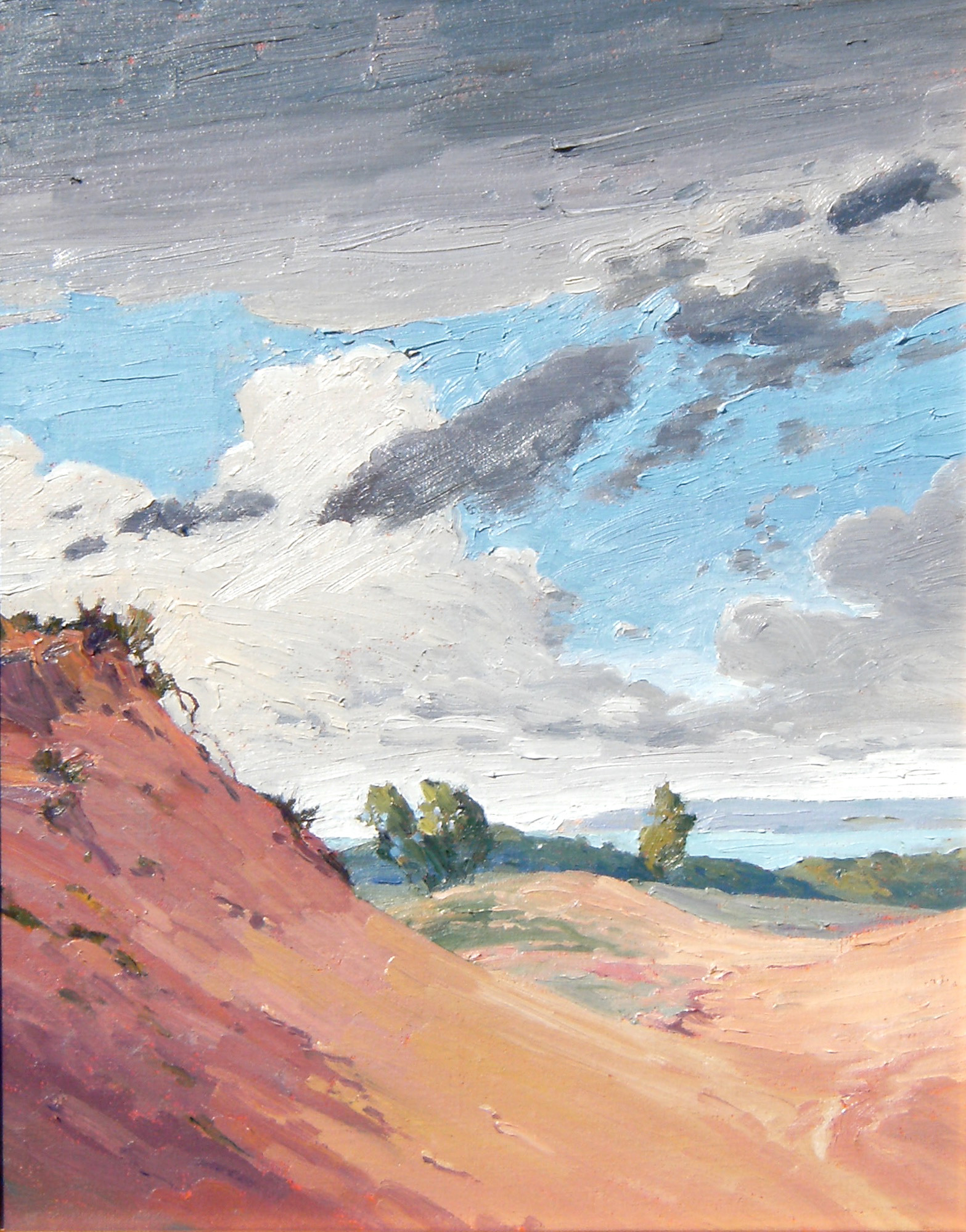 Buffalo Clouds, 20 x 16