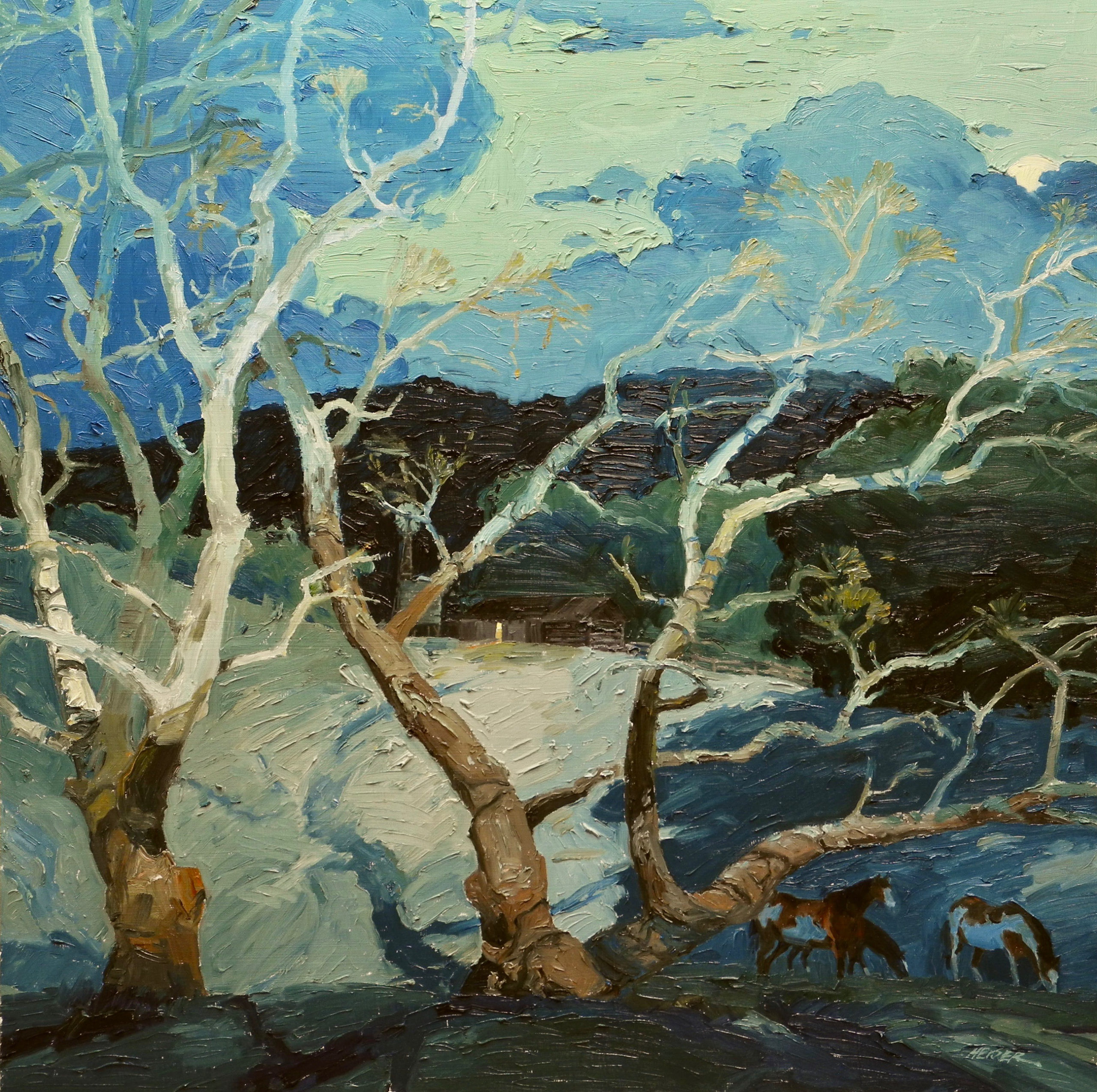 Moonlit Sycamores, 24 x 24